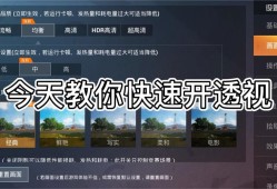 和平精英透视自瞄免费辅助_和平精英自瞄排行榜