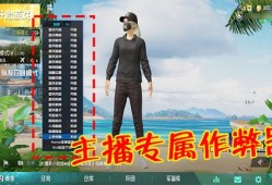 猪猪游戏解说和平精英_猪猪科技和平精英