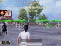 和平精英挂怎么开教程_和平精英开挂卡住了怎么办