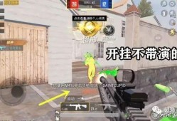 《和平精英自瞄挂：游戏竞技中的道德伦理与技术滥用探讨》_和平精英自瞄挂恶心吗