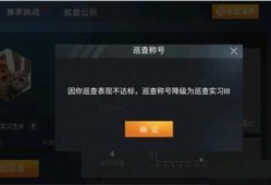 怎么才能成为和平精英巡查员_怎样才能巡查和平精英外挂