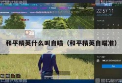 苹果版和平精英自瞄辅助下载_和平精英自瞄版2022