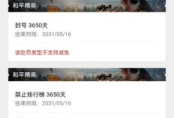 和平精英观战透视是什么意思_和平精英观战透视怎么抓的