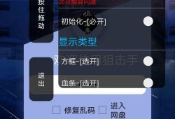 和平精英怎么才能开透视_和平精英透视怎么判断
