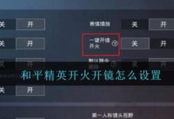 和平精英如何开启自瞄视角——详细指南_和平精英如何开自瞄视角