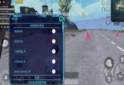 和平精英怎么开透视?_和平精英开启人物透视怎么设置