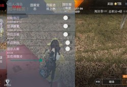 和平精英隐身挂教学_和平精英卡出隐身挂