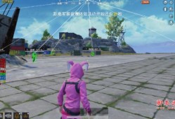 cf子弹追踪和自瞄的区别_和平精英子弹追踪算自瞄吗