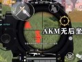 揭秘和平精英中的“Z自瞄”：技术与战术结合的策略研究_和平精英z自瞄