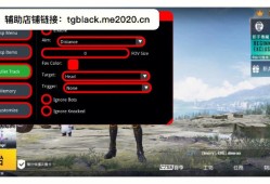 和平精英国际服辅助器免费_和平精英国际服辅助不是挂