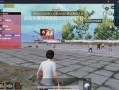 和平精英怎么透视_和平精英遇到透视怎么打