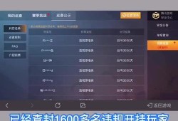 和平精英辅助瞄准有用吗_女巫辅助好用吗和平精英