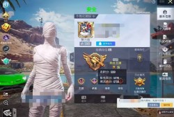 和平精英辅助【地狱犬直装V3.1修复版】原哮天犬直装改名 人物骨骼透视 全屏自瞄 物资显示