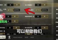 和平精英怎么开自瞄挂教学_和平精英自瞄是怎么设计的
