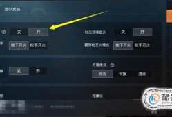 和平精英辅助瞄准开好还是不开好_和平精英辅助瞄准建议打开吗