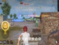 和平精英每局都有挂_和平精英排行榜都是挂吧
