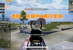 和平精英队友是挂自己会封吗_和平精英队友开挂会封吗