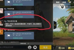 老撕鸡和平精英解说_老撕鸡玩和平精英偶遇外挂