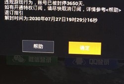 和平精英观战高端局40级_高端局透视和平精英