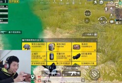 和平精英怎么辨别敌人的位置_和平精英外挂骗敌人