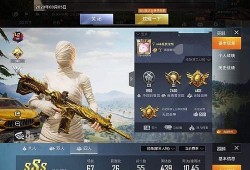 和平精英巡查员一天能查多少单_和平精英外挂被巡查员抓