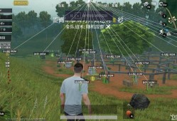 和平精英透视怎么弄_和平精英透视的原理是