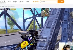 和平精英透视镜使用教程：从入门到精通的全面指南_和平精英透视镜教程视频