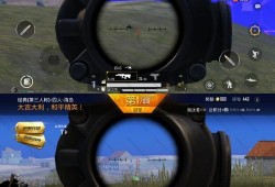 和平精英挂怎么开_和平精英怎么关外挂