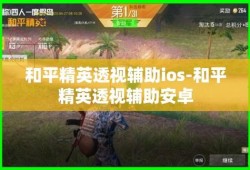 和平精英五哥游戏视频_小五哥哥开挂玩和平精英视频
