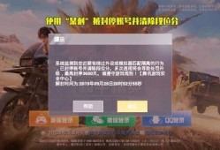 和平精英双排怎么打_和平精英双排为什么外挂多