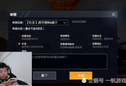 触摸自瞄的正确用法_和平精英触摸自瞄用法