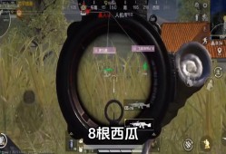 和平精英怎么免费外挂_和平精英怎么申请外挂查询