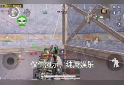 和平精英透视自瞄辅助免费版_和平精英透视自瞄挂出售