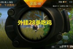 和平精英3元挂_和平精英透视3元