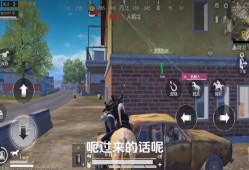 和平精英开挂免费版下载_和平精英电脑版外挂下载