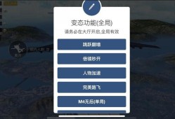 《和平精英穿墙透视镜功能详解：开启方法与使用注意事项》_和平精英穿墙透视镜怎么开