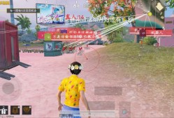 和平精英外挂【鲸鱼公益直装免费版】方框透视 车辆加速 人物飞天  开枪自瞄 雨林除草 掩体变色  无后坐力 物资显示 防巡查员