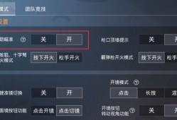 和平精英怎么开自瞄挂教学_和平精英自瞄怎么设置不求人