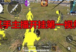 和平精英主播最新内部挂_最近和平精英开挂的主播