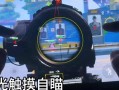 和平精英怎么自动开枪_和平精英怎么开枪自瞄
