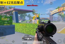 和平精英每局都有挂_和平精英外挂般的存在