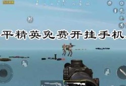 和平精英透视辅助软件下载安卓版_和平精英方框透视手机辅助