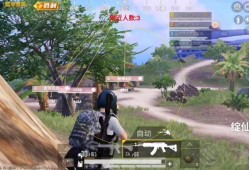 和平精英透视3元挂_和平精英小学生遇到外挂