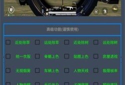 OPPO和平精英专属优势：揭秘其自带辅助功能的深度解析_oppo和平精英自带辅助