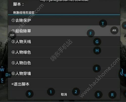 和平精英家园墙壁上能放花瓶_和平精英家园花朵挂饰悬空门  第2张