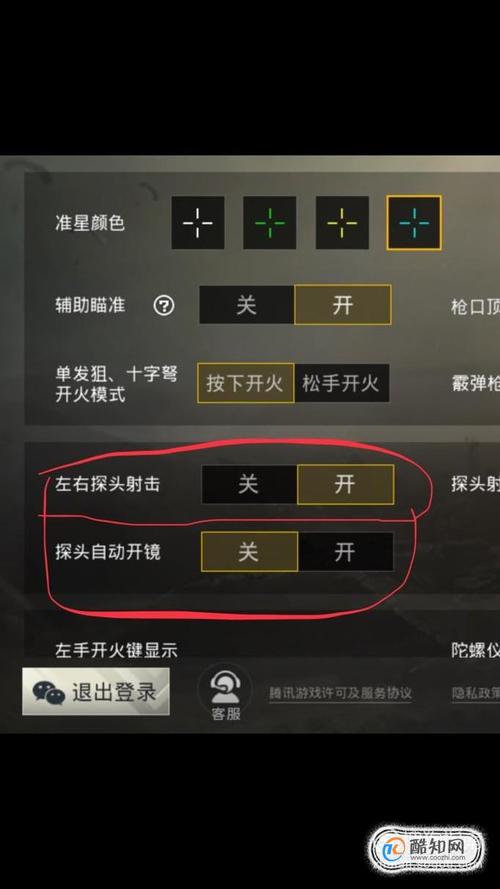 和平精英辅助自瞄_和平精英辅助怎么开自瞄  第1张