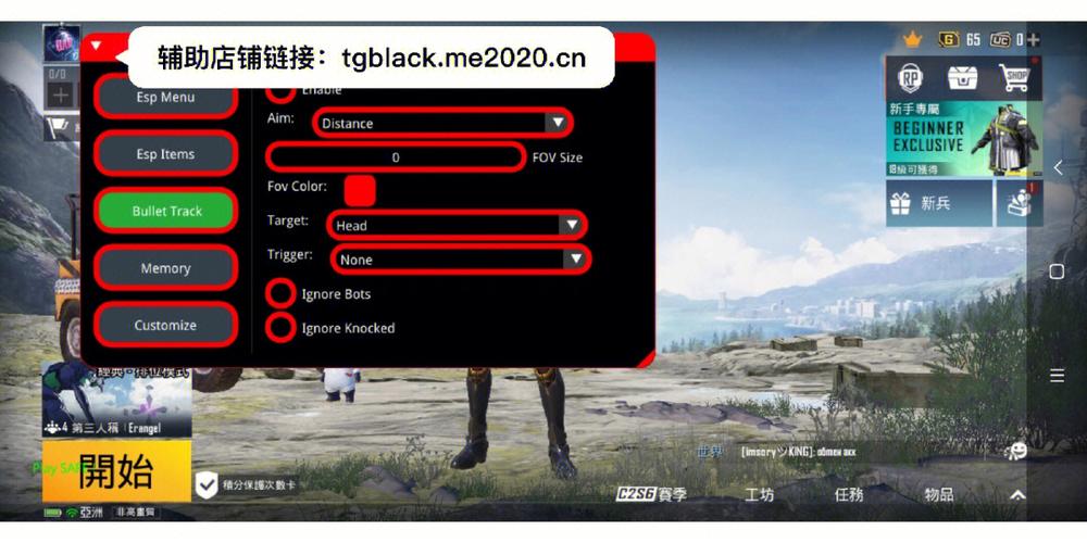 和平精英国际服辅助器免费_和平精英国际服辅助不是挂  第1张