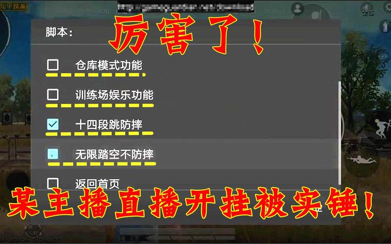 和平精英怎么才能买挂_和平精英什么买挂  第2张